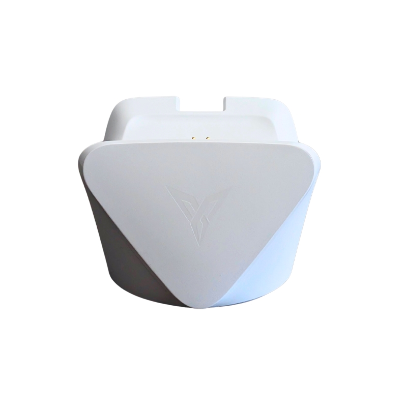 Flydigi Direwolf 4 Charging Dock 2